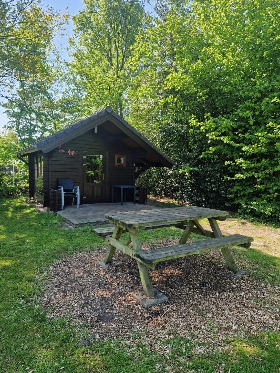 Camping Alkenhaer Appelscha Blokhut Basic — photo 1