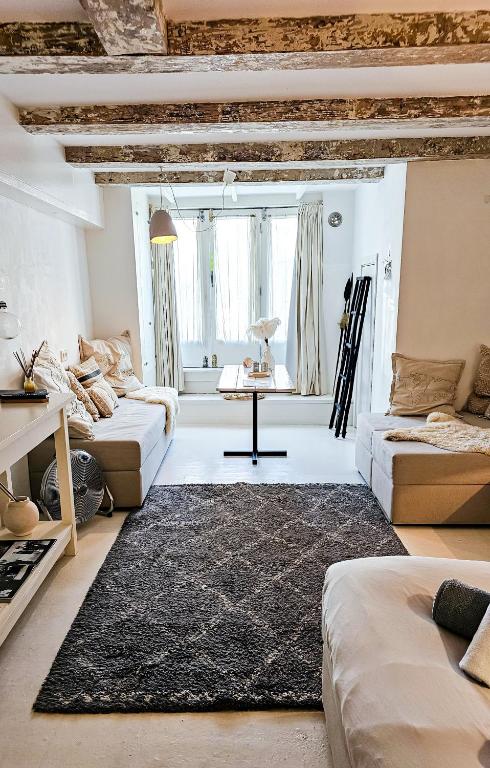 JoyJoyJoy the White Wilde ecolicious studio in a historic Canalhouse from 1799 with terrace at the canals — photo 1