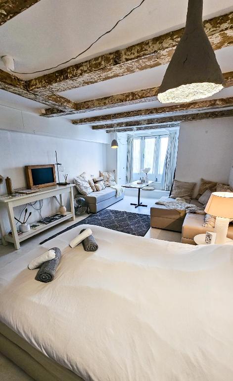 JoyJoyJoy the White Wilde ecolicious studio in a historic Canalhouse from 1799 with terrace at the canals photo 2
