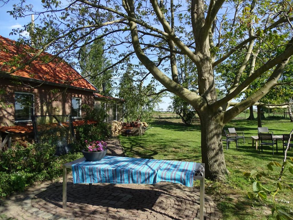 Roer — photo 1