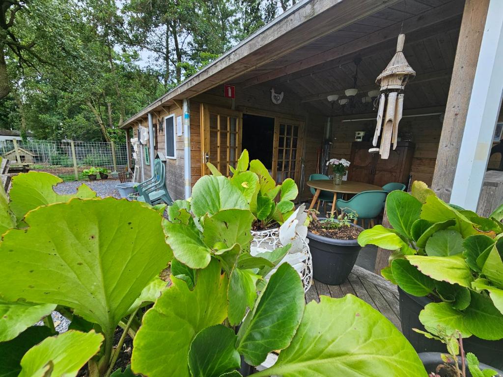 Trekkershut - De Hollandse Boerderij — photo 1