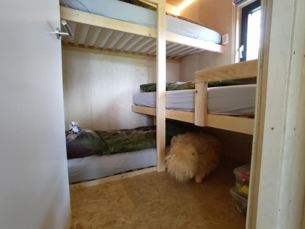 Tiny house met privé hottub photo 2