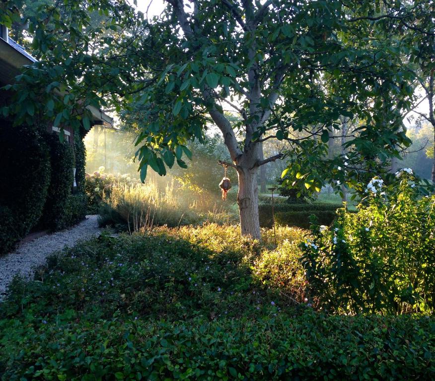 De Spaanse Ruiter — photo 1
