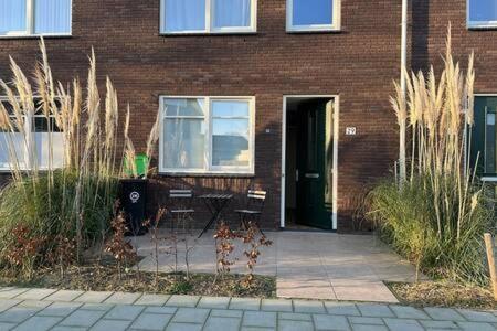 The green house in Spijk — photo 1