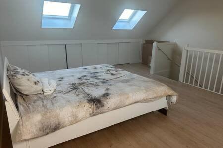 The green house in Spijk photo 2