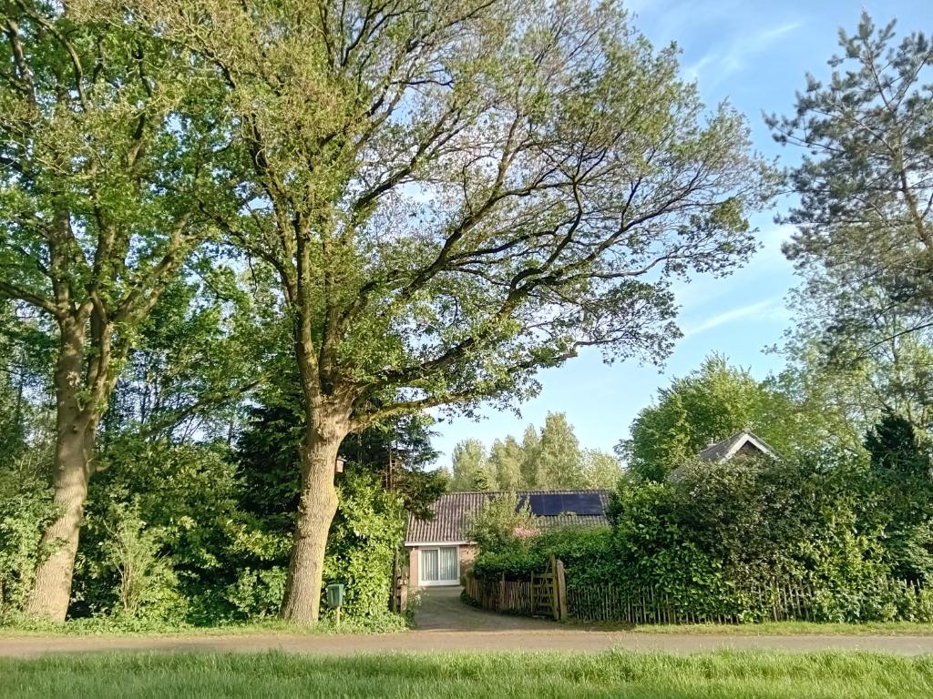 Huys Welgelegen Ruim huisje op een prachtige plek — photo 1