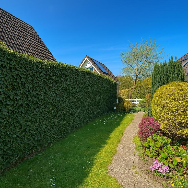 HÜBSCHES FERIENHAUS IN OUDDORP - fußläufig zum Strand und Zentrum photo 2