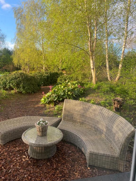 Ecolodge Almere with private outdoor terrace — photo 1