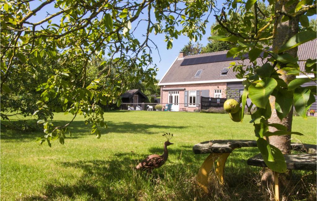 Lovely Home In Ovezande With Sauna photo 3