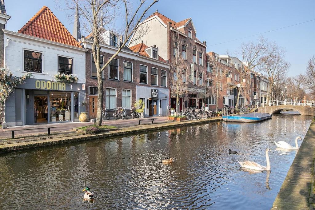Studio aan de gracht — photo 1