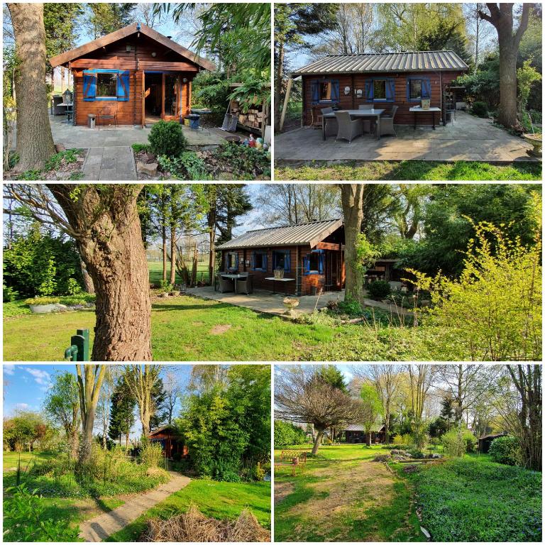 Chalet in paradise garden — photo 1