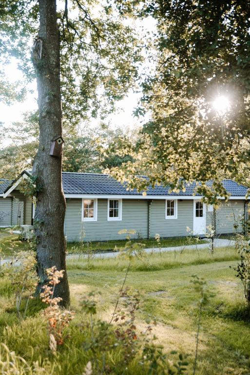 Zweeds Huisje op Camping de Kleine Wereld — photo 1