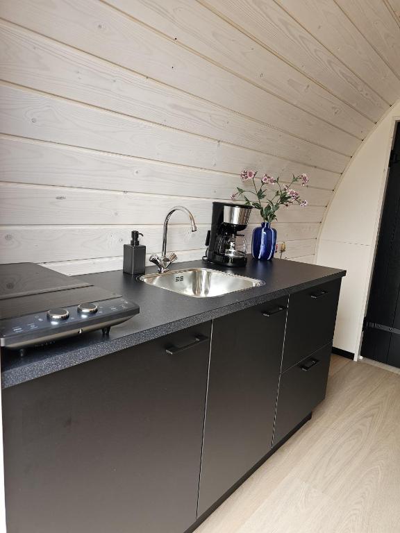 Tiny House De Skierroek photo 3