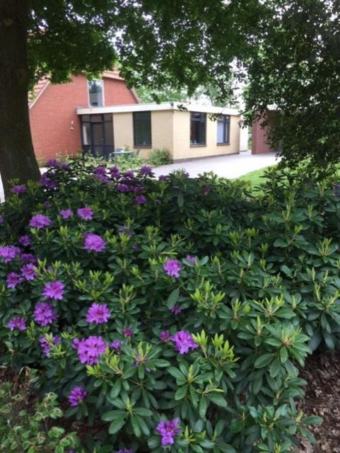 Speldehof — photo 1