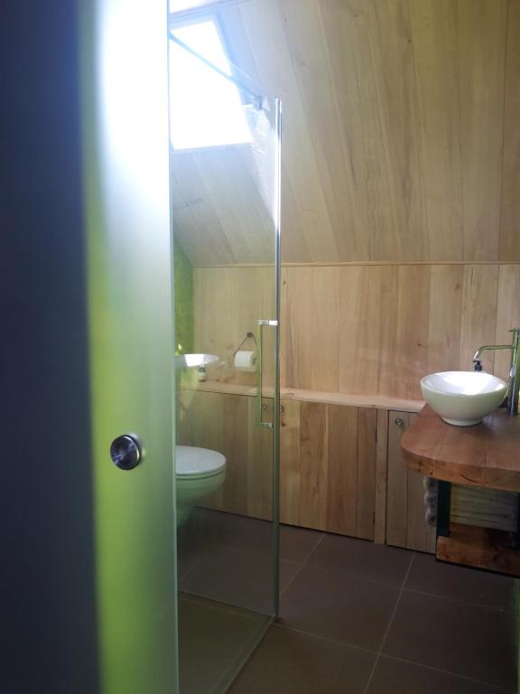 Studio Nok bij Den Bosch photo 3