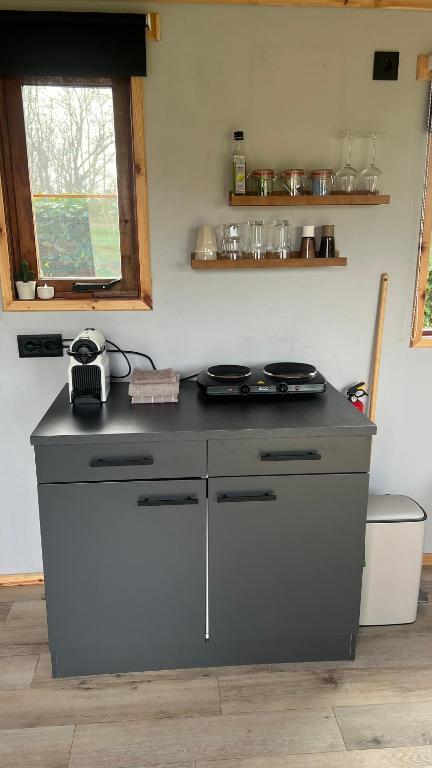 Tinyhouse Giethoorn photo 3
