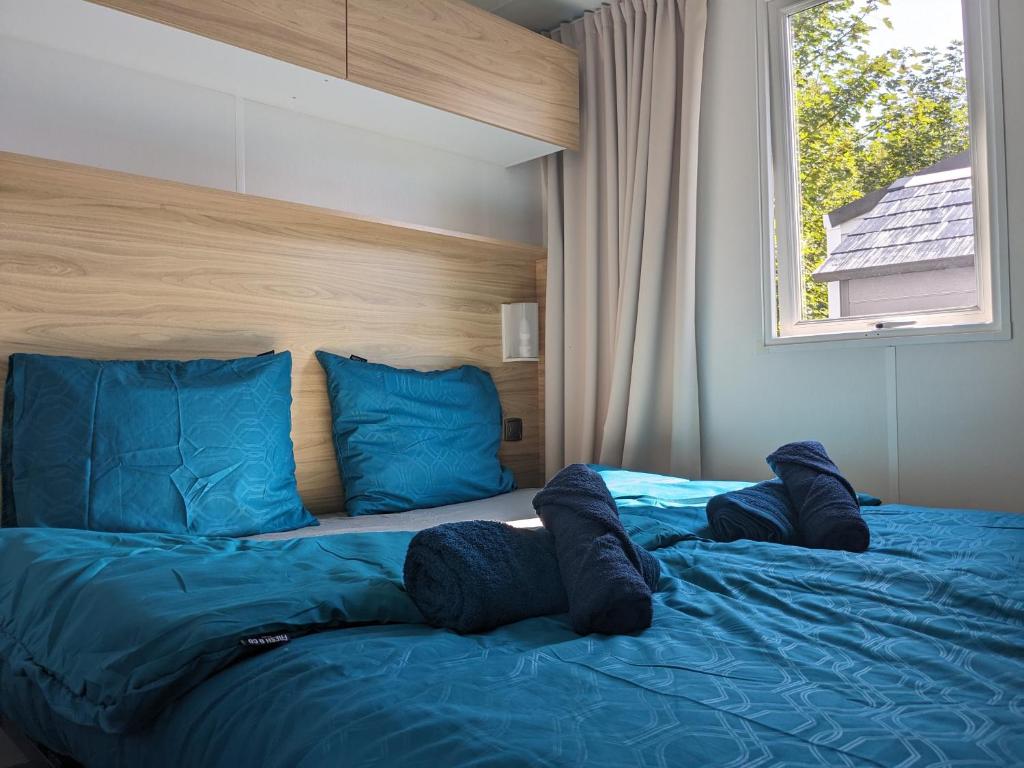 Cozy Tiny SolHouse 7 - Near Groningen - 5 Star Location photo 2