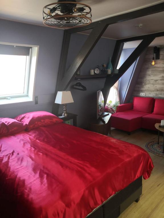 WitteZwaan photo 2