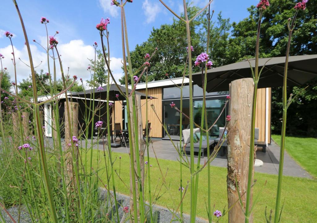 Rietreiger luxe vakantielodge in Friesland - 2 badkamers — photo 1