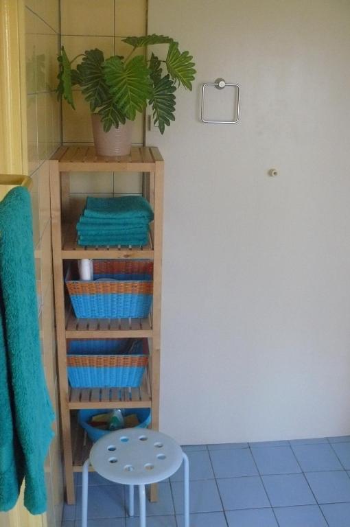 Amsterdam Beach Apartment photo 3