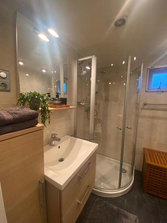 Sfeervol Boschalet 5 persoons met Sauna photo 3
