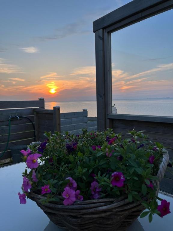Traumlage Nr51 Traumblick direkt am Wattenmeer erste Reihe unendliche Weite — photo 1