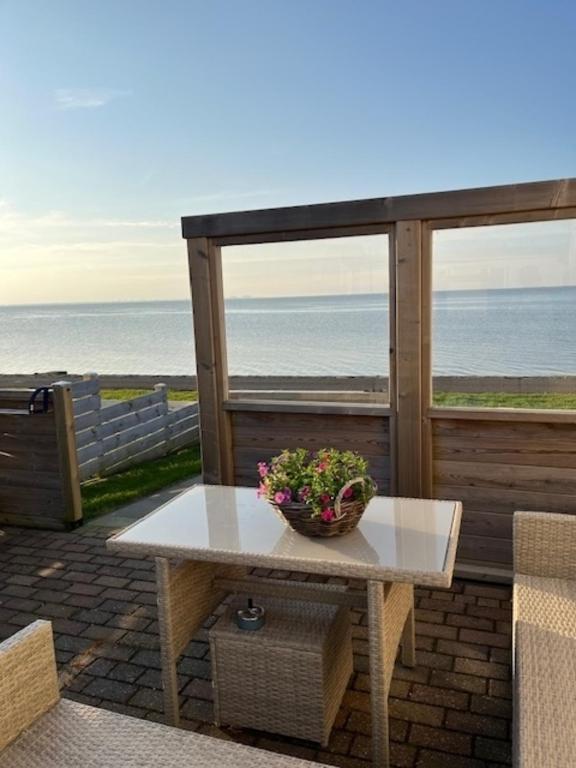 Traumlage Nr51 Traumblick direkt am Wattenmeer erste Reihe unendliche Weite photo 3