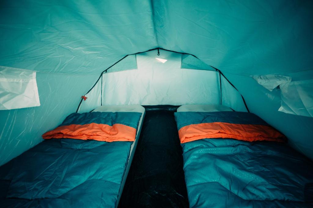 The ESN Kingsday Campsite photo 2