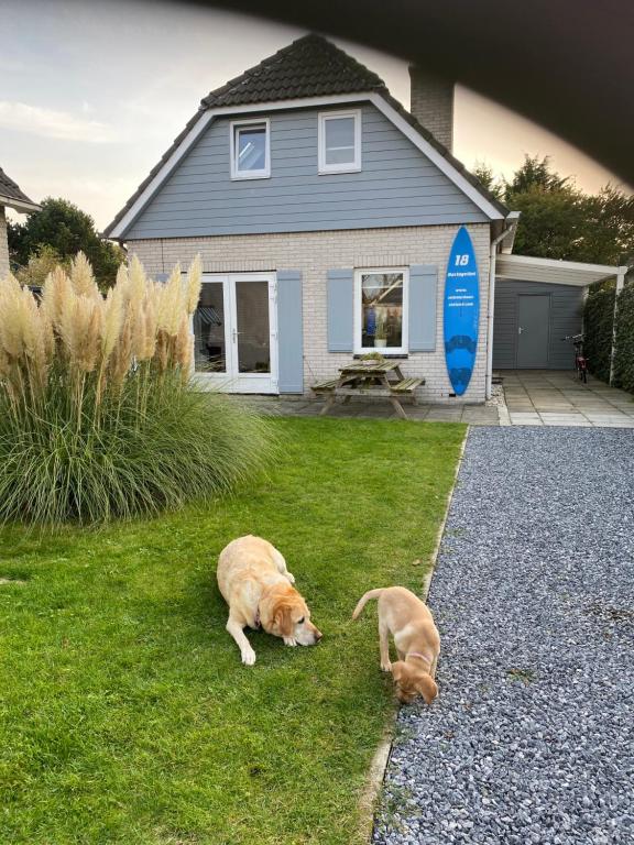 Sommerhaus Zeeland photo 3