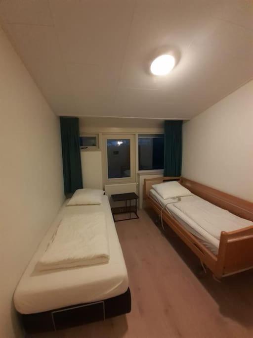 Saevis tranquillus in undis in de IJsvogel photo 2