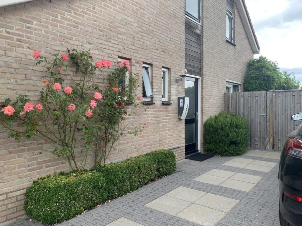 Spacious Bungalow near Water — photo 1