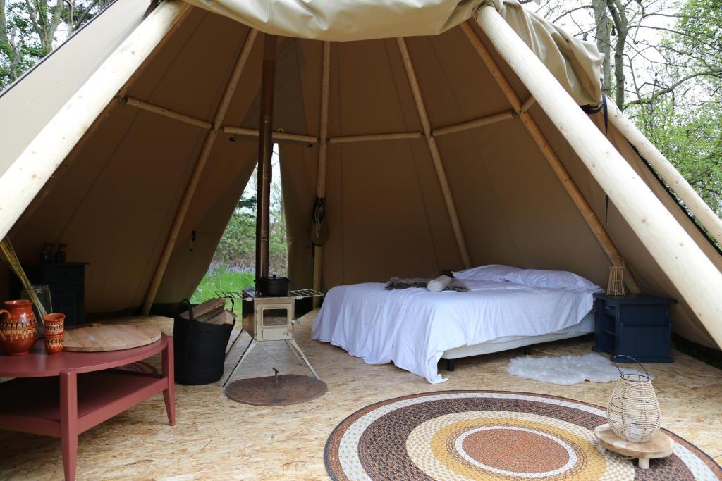 Tipi Texel photo 2
