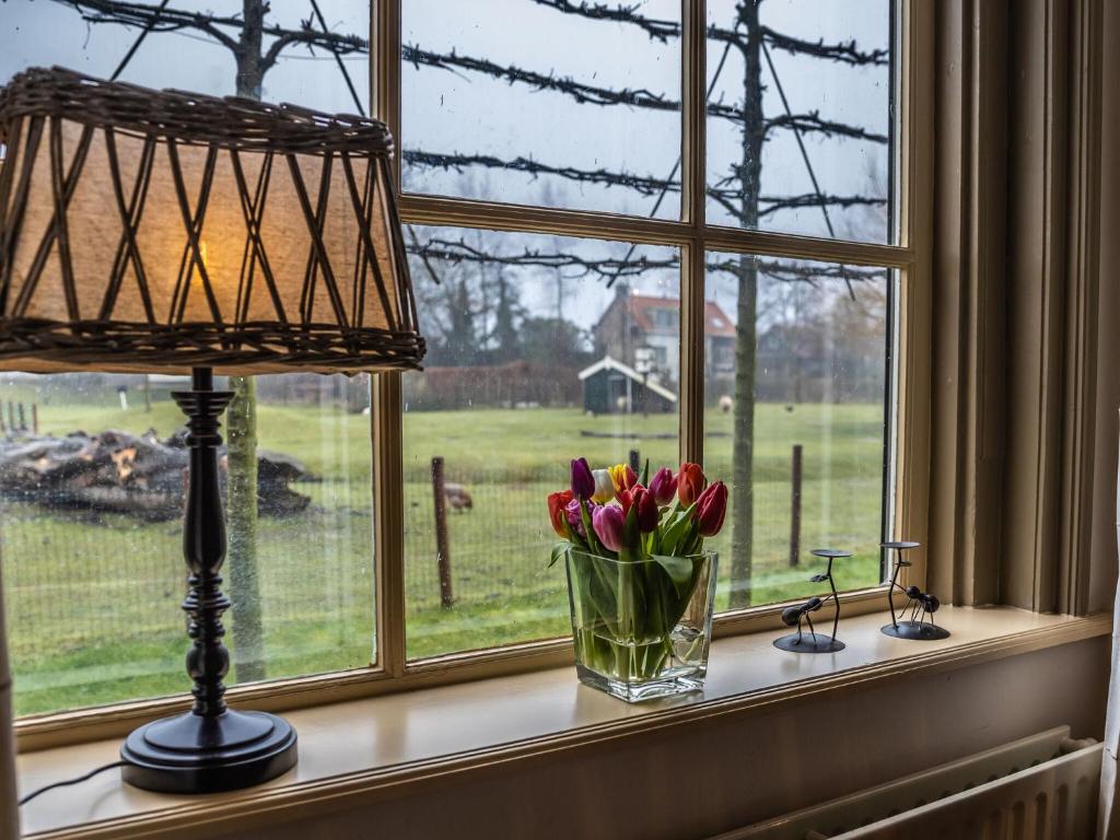 Stay at Oranjezon Dunes photo 2