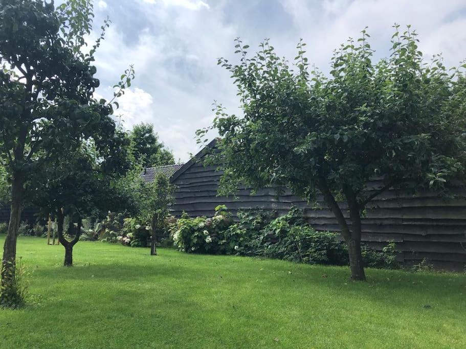 SereenRetreat voor focus en rust photo 3