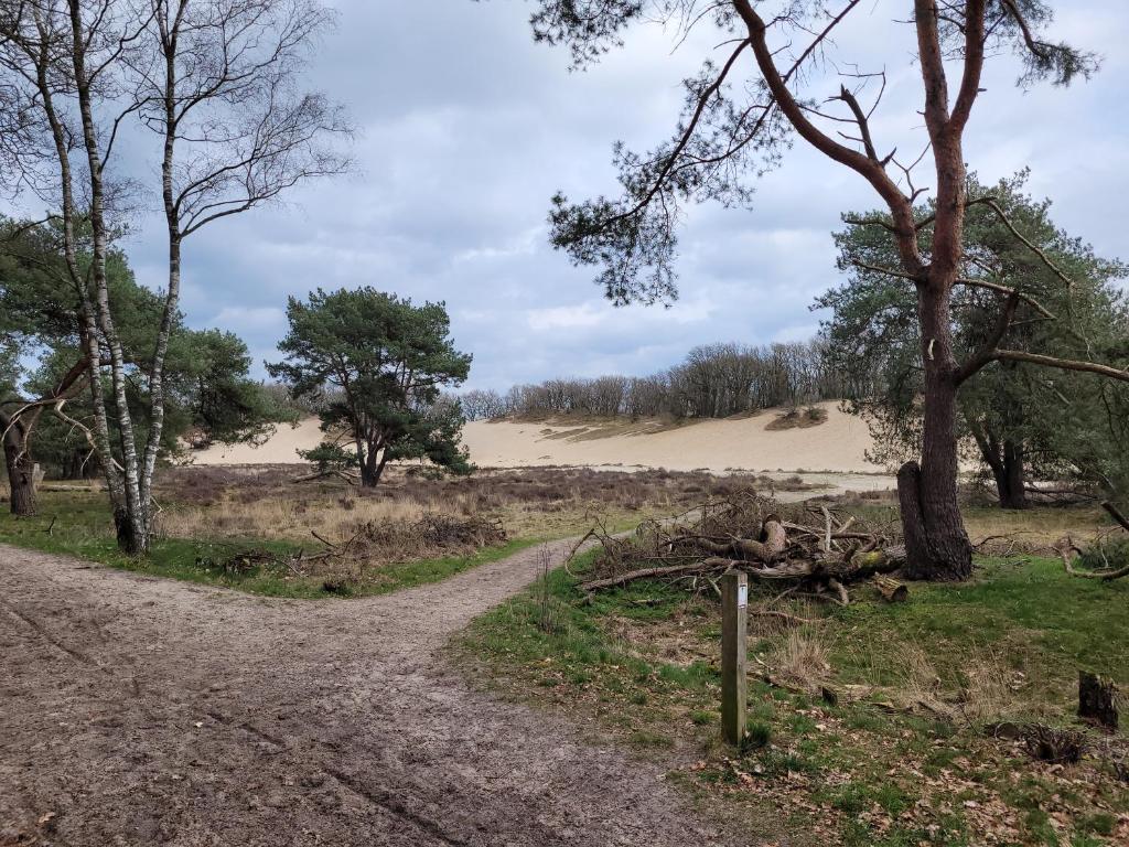 Timmershoeve photo 2