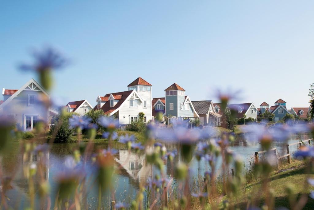 Summio Duynparc De Heeren van 's-Gravensande — photo 1