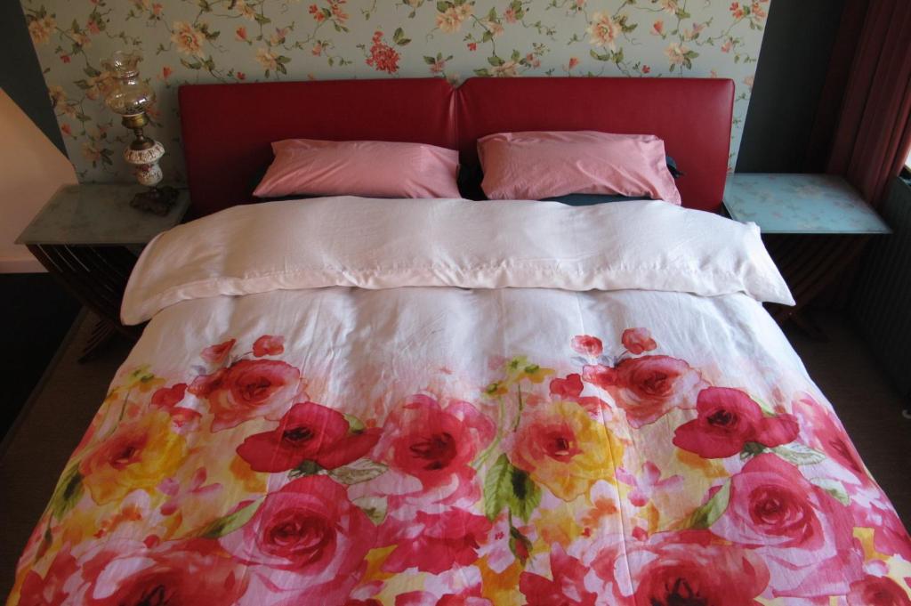 Wild Roses photo 2