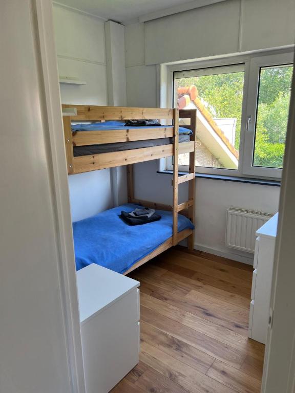 Wohnung erstes OG - lichtdurchflutet und modern photo 2