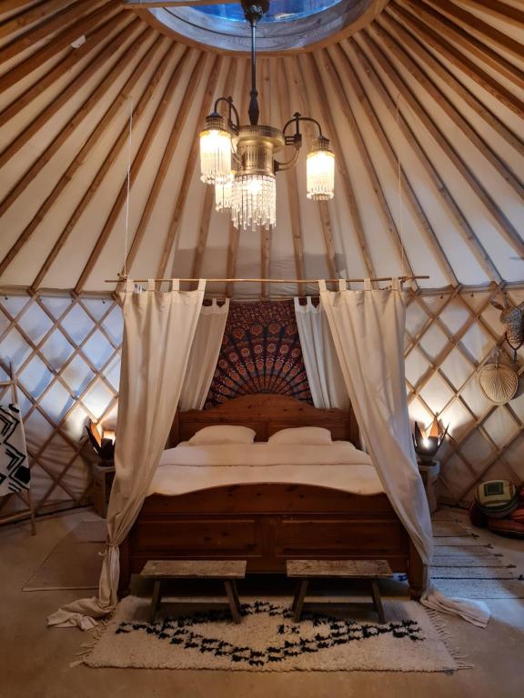 Vakantiewoning in monumentale boerderij met yurt — photo 1