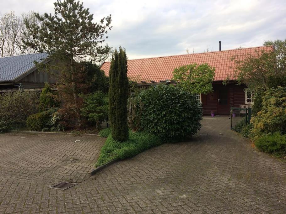 Tanja's Guesthouse Kootstertille — photo 1