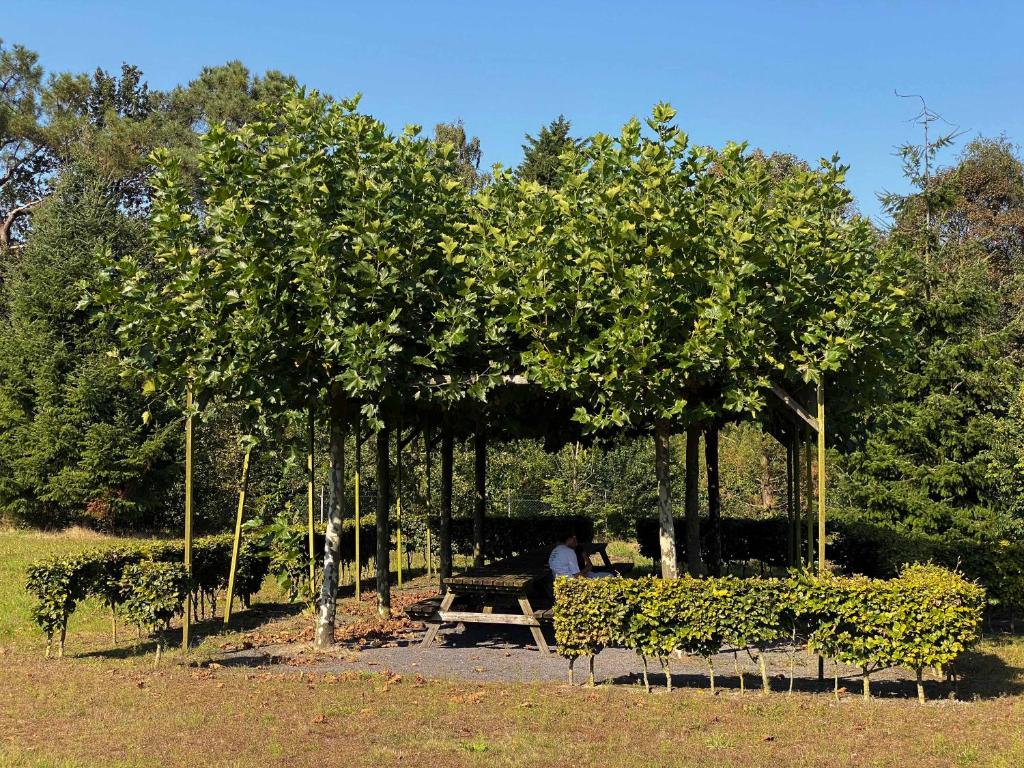 Summio Bosparc de Hoevenaer photo 2