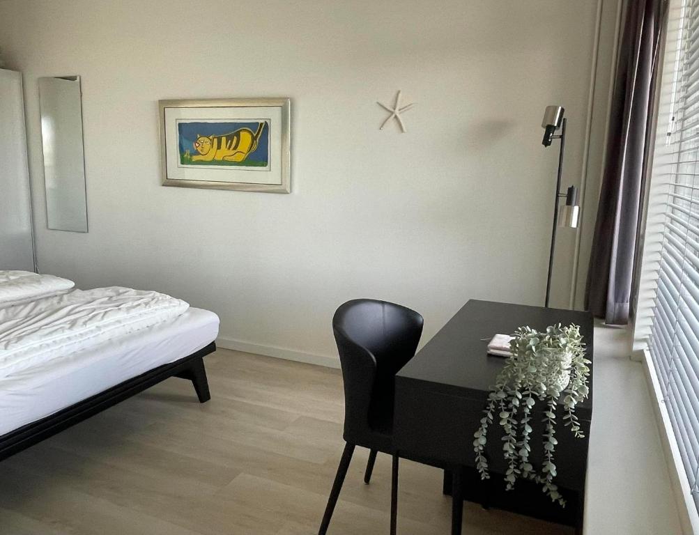 Sterflat 67 photo 2
