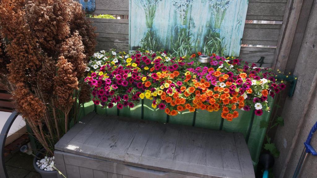 Amsterdam Roof Terrace B&B — photo 1