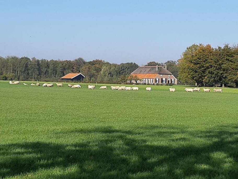 B&B Joostink in Vorden — photo 1
