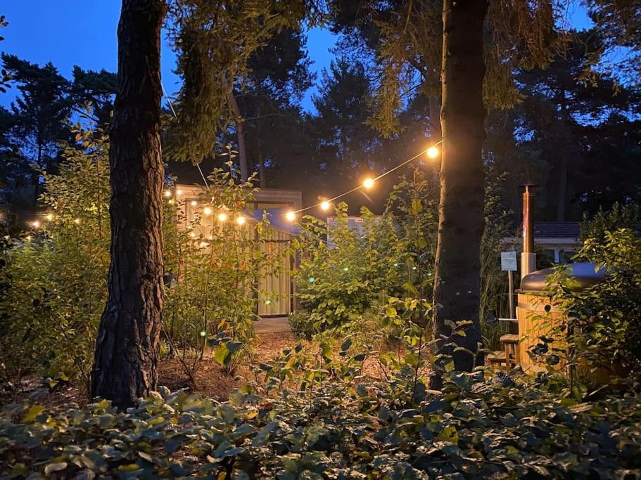 Tiny House op de Veluwe — photo 1