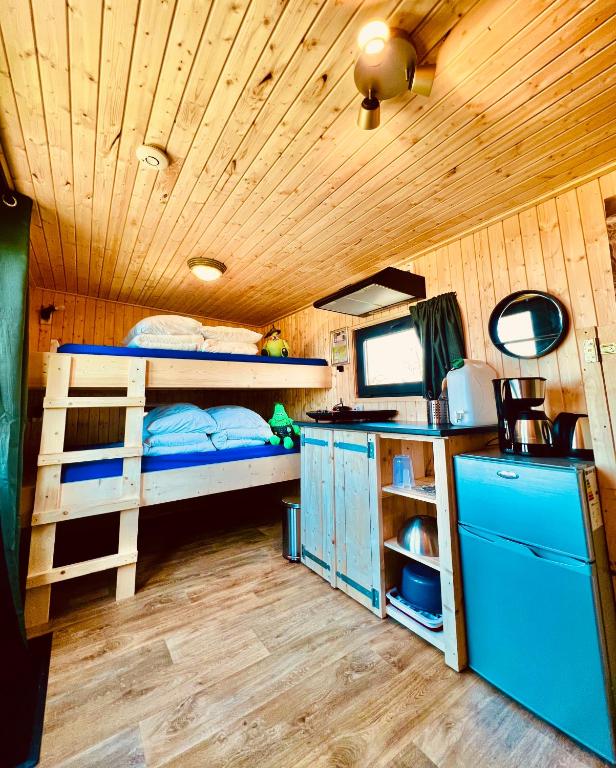 Tinyhouse Spiegelpeer photo 2