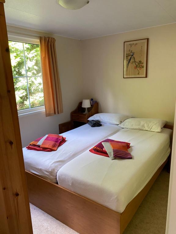 Ruim privacyvol chalet met overdekt terras photo 2