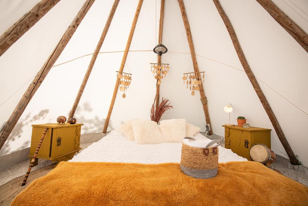 Slapen tussen de schapen in de Tante Tipi photo 2