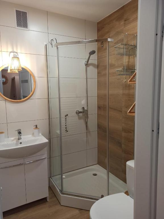 Słoneczny apartament z prywatną sauną w Stroniu Śląskim photo 3