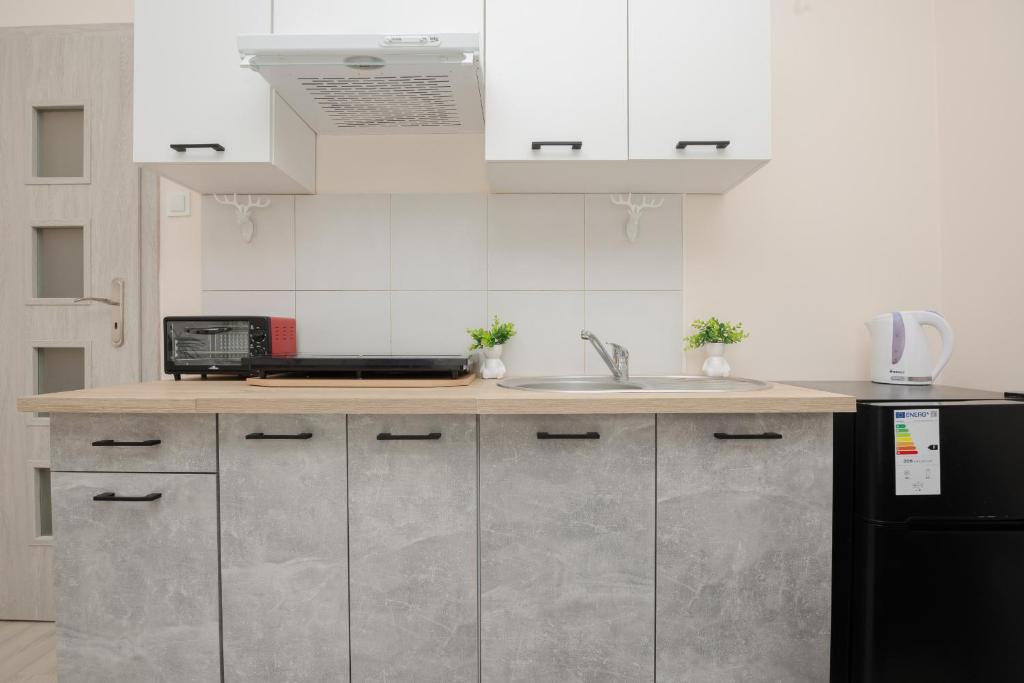 Studio with Balcony 180 m to the Royal Baths by Noclegi Renters photo 3